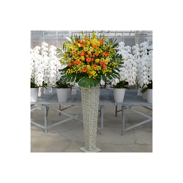 ○スタンド配送エリア　札幌市・東京都・神奈川県(一部除く)・名古屋市・大阪府・福岡市のみ　※上記エリア以外はお届けできません。　※近隣も対象外となります○スタンド設置・回収致します　【設置】　直接設置にお伺い致します。　【回収】　後日回収に...