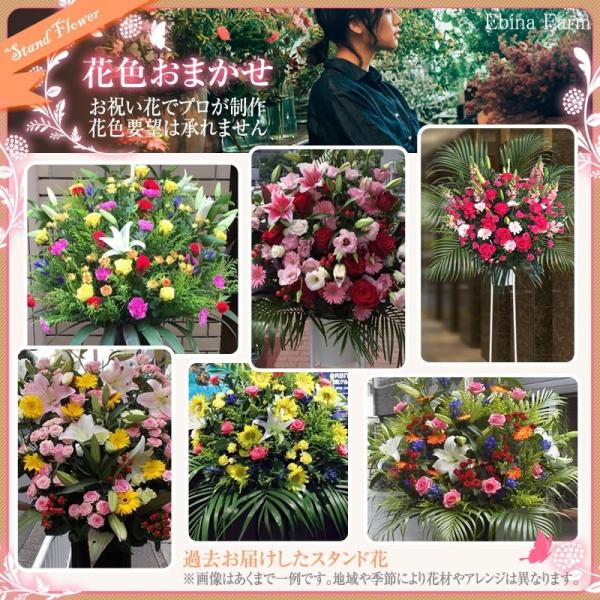 開店祝い 花 スタンド花 1段 花色おまかせ 10 000円 税別 180cm位 東京都 神奈川県 大阪府 札幌市 名古屋市 福岡市 お祝い ライブ フラスタ ギフト Stde Buyee Buyee 提供一站式最全面最专业现地yahoo Japan拍卖代bid代拍代购服务 Bot Online
