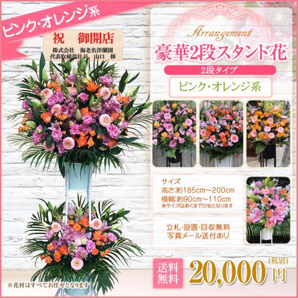 �y�|�C���g5�{�z�X�^���h��(2�i) �ԐF�I�ׂ�5�F 20000�~(�ŕ�) 180cm�� �ݒu��������� �����s �_�ސ쌧 ���{ �D�y�s ���É��s �����s ���j�� �J�X�ystde�z ���i�摜5