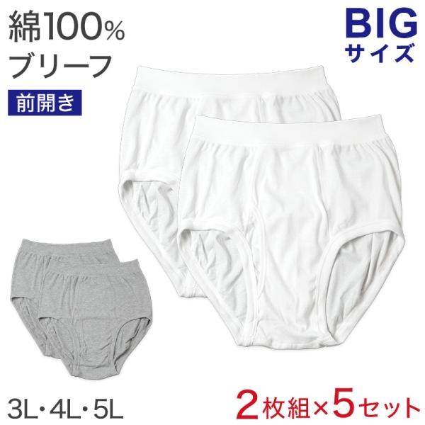 ブリーフ 綿100% 大きいサイズ 2枚組×5セット 3L 4L 5L 前あき メンズ
