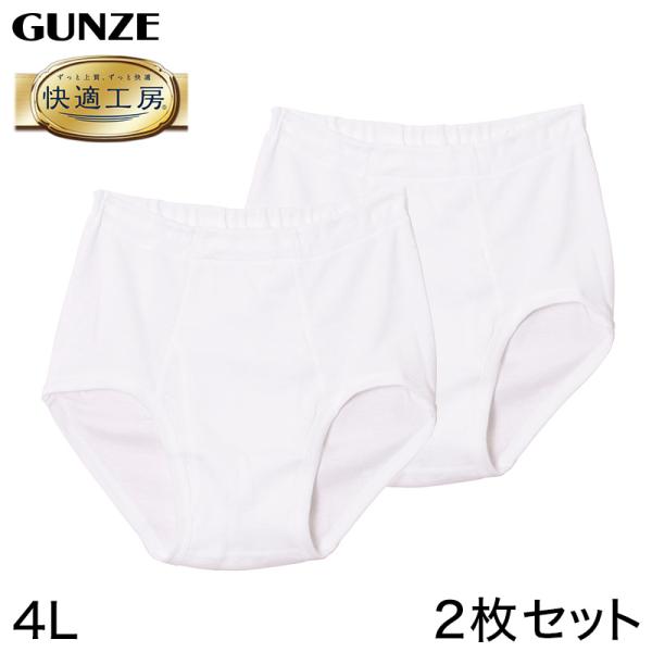 快適工房 グンゼ 紳士 前開き天引きブリーフ 2枚セット 4L (メンズ