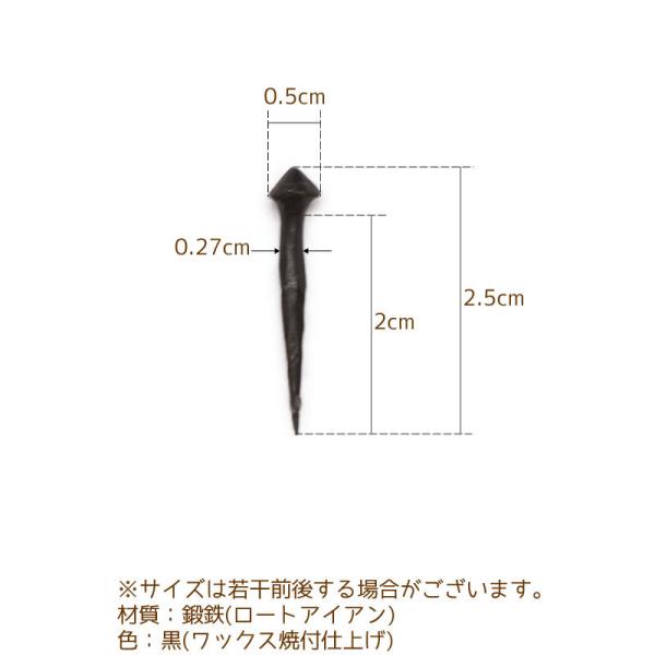 釘 アイアン 文字板 壁 小さい 飾り釘 ミニ鉄くぎ-10個セット