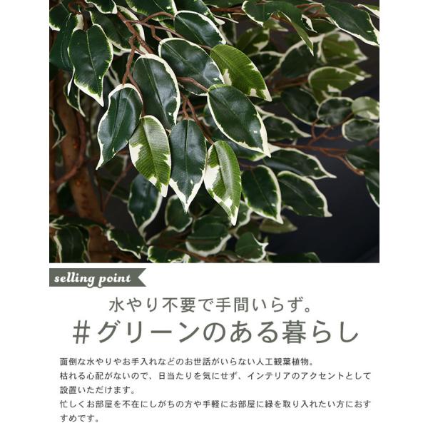 時間指定不可 イミテーション フィカス 人工 植物 高さ 170cm 7号鉢対応 鉢植え フェイクグリーン 観葉植物 造花 インテリア 室内 鉢 目隠し リビング 内祝い Www Fedelatina Org