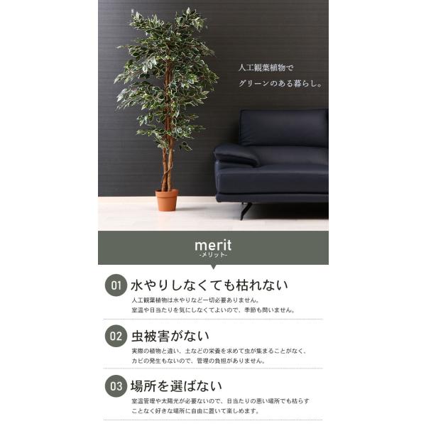 驚きの値段 イミテーション フィカス 人工 植物 高さ 170cm 7号鉢対応 鉢植え フェイクグリーン 観葉植物 造花 インテリア 室内 鉢 目隠し リビング 60 Off Nooitmeergrasmaaien Be