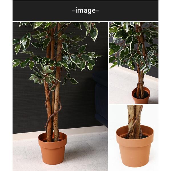驚きの値段 イミテーション フィカス 人工 植物 高さ 170cm 7号鉢対応 鉢植え フェイクグリーン 観葉植物 造花 インテリア 室内 鉢 目隠し リビング 60 Off Nooitmeergrasmaaien Be