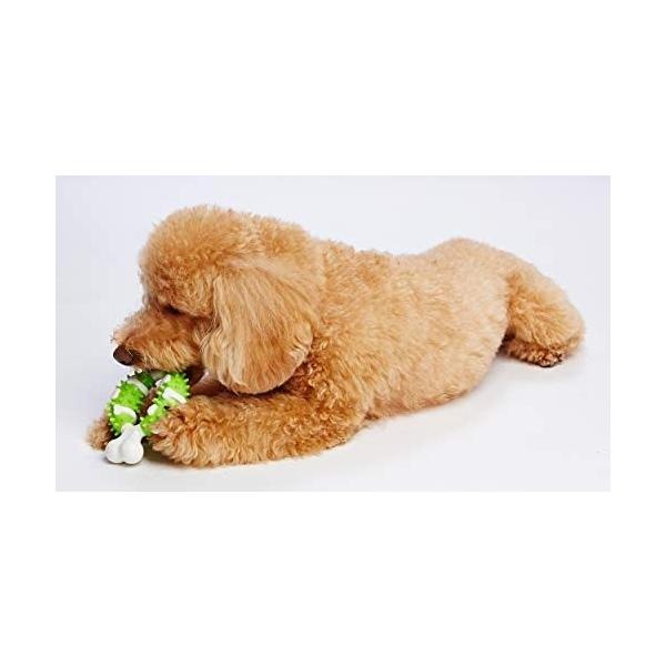 アドメイト 犬用おもちゃ Enjoy!かむボーン リング :peta-B0851VH649:Suyell LIZ 通販 