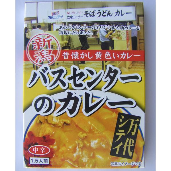 バスセンターのカレー 新潟 昔懐かし黄色いカレー 220g×4個セット