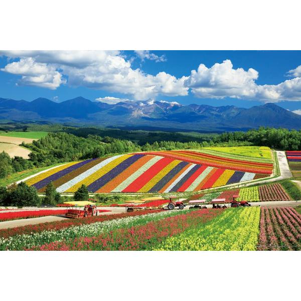 ジグソーパズル やのまん(Yanoman) 日本製1000ピース 日本の風景 四季彩の丘と十勝岳連峰(北海道) (50x75cm) 10-1