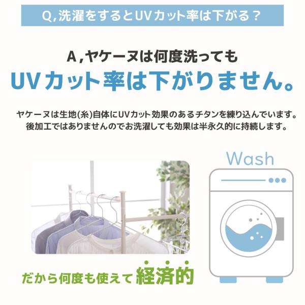 suzukachan_517_3_d_20260130115630