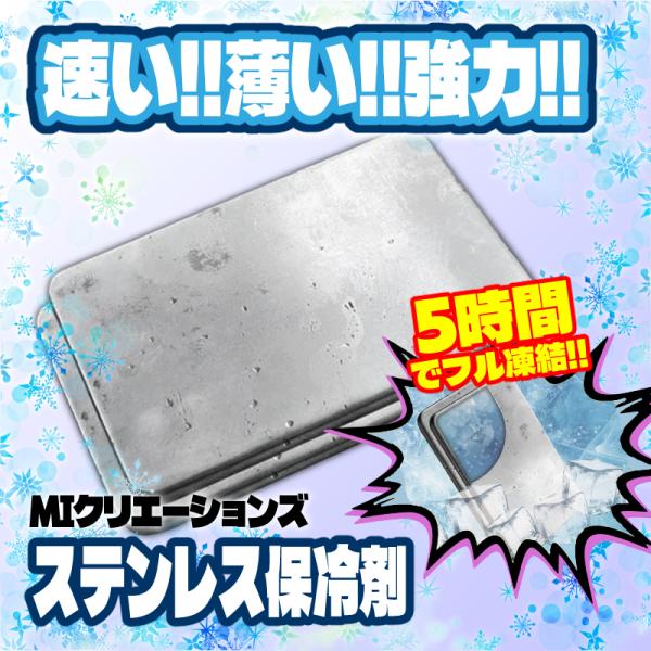 ステンレス保冷剤 STH-001 MIクリエーションズ 1箱(2枚入) 送料無料 5時間フル凍結 繰返使用可 お弁当 アウトドア キャンプ クーラーボックス 在庫品