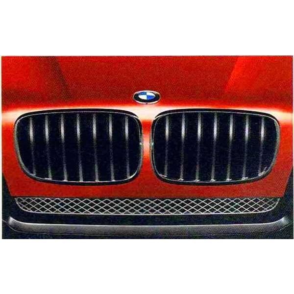 X6 BMW Performanceブラック・キドニー・グリル BMW純正部品 パーツ 
