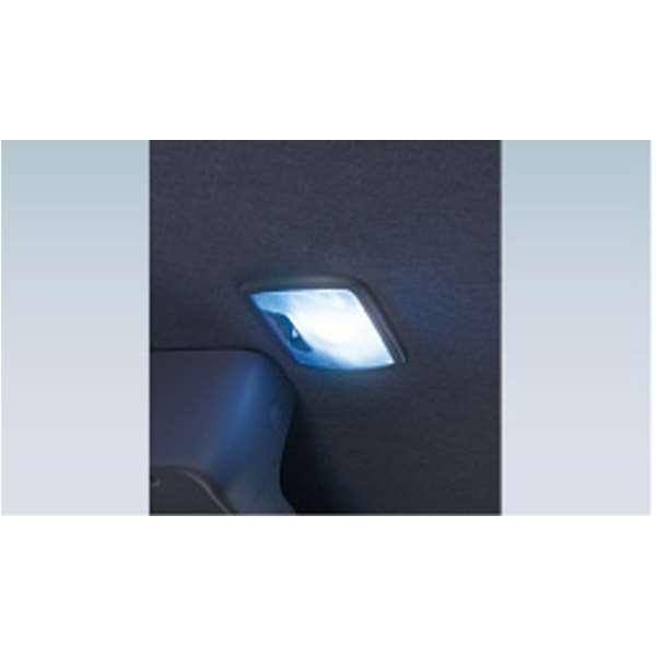 エルフ ルームランプLED （交換用LEDバルブ） いすゞ純正部品 FR6AA