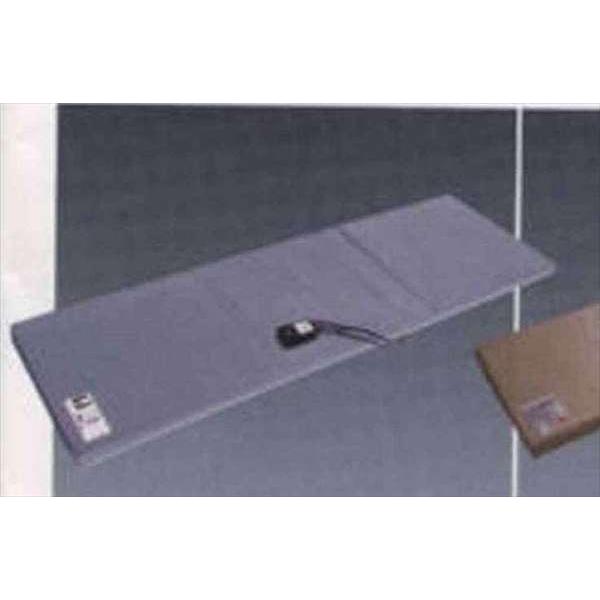 ISUZU純正 蓄電式マット new 一休さん