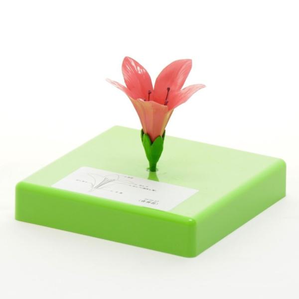 ●花の構造模型4種（品番：130-021-01）のうちのツツジ単品になります。●ツツジの花の構造が細かく示されており、雌しべが取り外し可能です。＜仕様＞商品コード：上野科学社 130-021-03サイズ：約13×13×13cm重さ：約100...