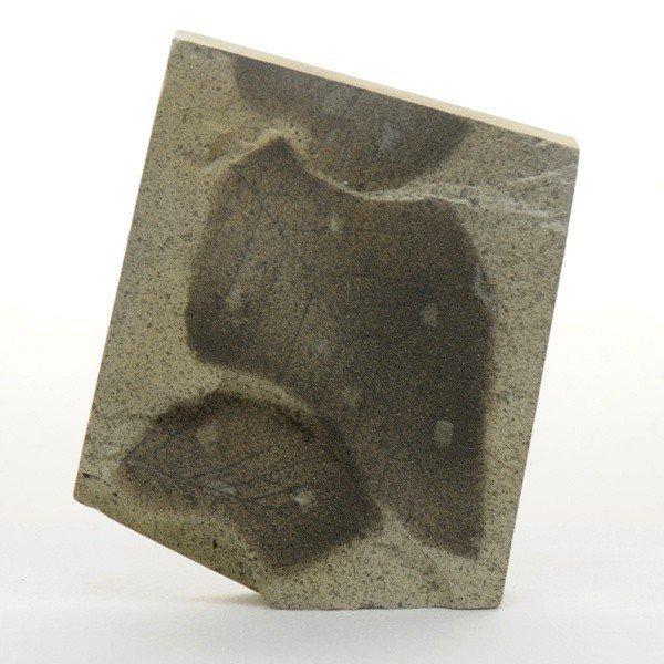 ●地層が堆積した当時の環境を推定する手がかりになる示相化石模型の5種セット（品番：220-002-01）のうち、ブナの葉単品になります。※「模型」レプリカです。化石実物ではございません。＜仕様＞商品コード：上野科学社 220-002-04サ...