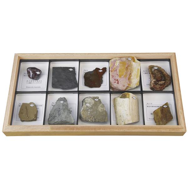 ●古生代、中生代、新生代の主要な植物化石をまとめたものです。※内容は一部変更になることがあります。※ケースの形状は変更になる場合があります。【商品詳細】商品コード：L55-3701型式：PF-10R種類：10種内容：ストロマトライト、封印木...