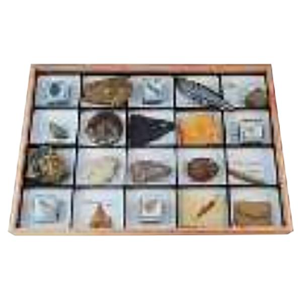 ●地層から発見された化石の中で、特に地層の年代を知る手がかりとなる化石の標本です。●教科書に掲載されている化石を中心に構成されています。※内容は一部変更になることがあります。※ケースの形状は変更になる場合があります。【商品詳細】商品コード：...