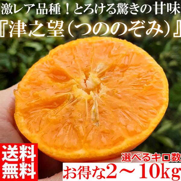 <2024年2月上旬頃発送予約販売> 激レア品種 みかん 津之望 （つののぞみ） 2kg~10kg 訳あり品 和歌山 有田みかん ありだみかん オレンジ フルーツ 果物