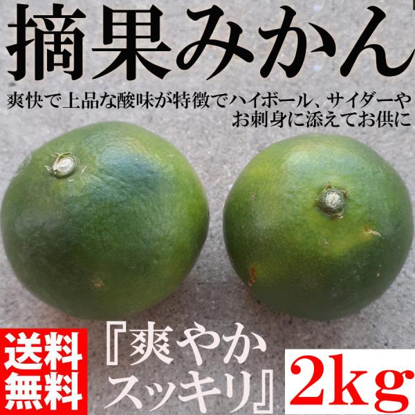 <8月中旬頃から順次発送予約販売> 摘果みかん 2kg 青みかん グリーンみかん  和歌山 有田みかん ありだみかん 20220707R