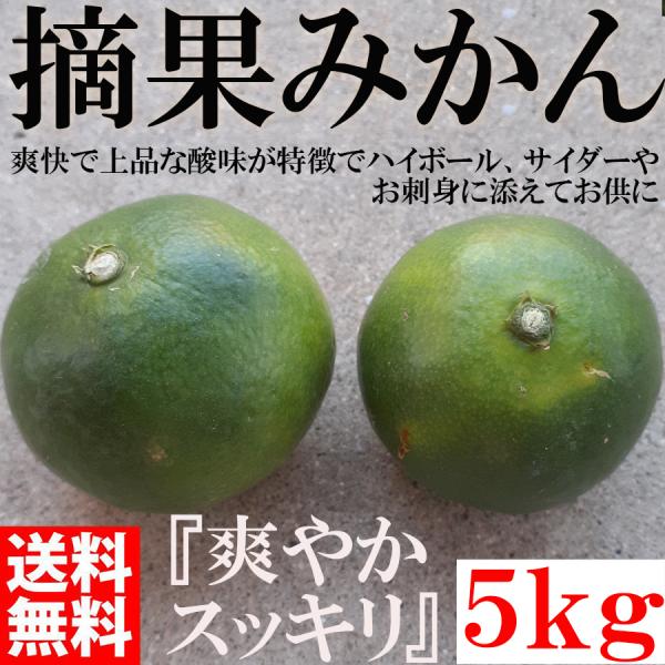 <8月中旬頃から順次発送予約販売> 摘果みかん 5kg 青みかん グリーンみかん  和歌山 有田みかん ありだみかん