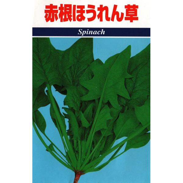 ●山形県の在来作物で古来から県民に親しまれてきた日本ほうれんそうです。●葉は日本種特有のぎざ葉で深い切れ込みのあるのが特徴的です。●茹でると葉は非常に柔らかく甘みがあります。●特に名前の通り赤い根が特徴的で多品種より葉数が多く赤い根が太く成...
