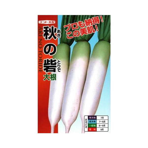 ●耐暑性に優れ、赤芯・黒芯症などの生理障害に強く、ス入り遅い。●耐病性（萎黄病、軟腐病）に優れる。●肌に光沢があり美しく、横縞症、ワッカ症などの障害に強い。●やや早太りで、尻づまり良く、揃いバツグン。●根長37〜40cm、根重1.5〜1.8...