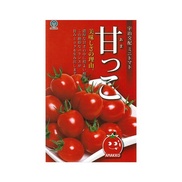 ●果実は球〜やや長卵型でよく揃い、ツヤのある鮮やかな赤橙色です。●糖度は8〜10度で安定し、甘さと酸味のバランスがよく、フルーツ感覚で食べられる食味抜群のミニトマトです。●果肉は硬く緊まり、完熟させても裂果はほとんどありません。●草勢はやや...