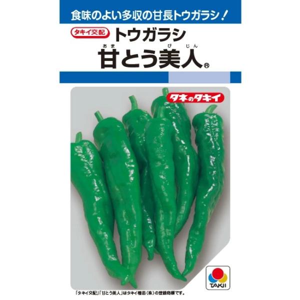 ●そろいが良く栽培容易なF1甘長トウガラシ。●果実は大きく、曲がり果の発生が少なくて秀品率が高い。●肉質が柔らかく、食味と風味に優れる。●辛味果の発生は比較的少ない。●低温性に優れハウス栽培に向く。●草勢は強めで、分岐の発生が多く多収です。