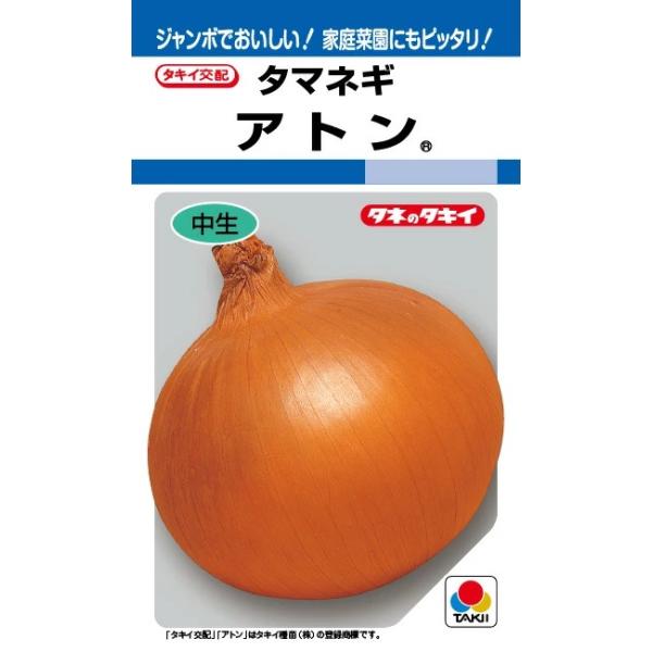 野菜種子 タマネギ「アトン」 20ml（タキイ種苗）【送料込み】 玉葱 玉ねぎ 玉ネギ たまねぎ