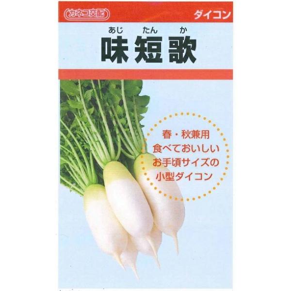 ●家庭菜園や直売所にぴったりな根長さ20cm前後の小型ダイコンです。●肉質は緻密で、す入りが遅く、甘みも強いため、幅広い料理に使えます。●晩抽性があり、秋まきと春まき両方で使えます。