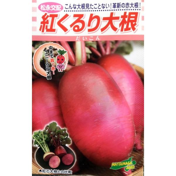 野菜種子 シャキシャキ赤ダイコン「紅くるり大根」 10ml（松永種苗）【送料込み】べにくるり ベニクルリ 野菜 種  家庭菜園 園芸 農業 大根 だいこん ス入り耐性