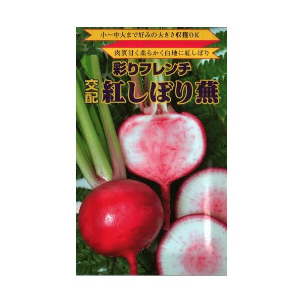 ●外皮は手でむくことが出来、肉質は甘く、柔らかい。●フレンチ料理界から注目が集まっています。●白さび病、根こぶ病にもかなりの強さを持っています。