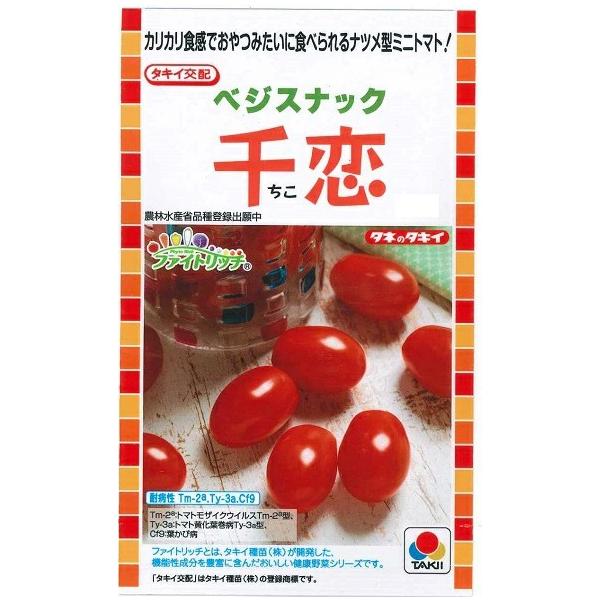 野菜種子 ミニトマト「ベジスナック 千恋」 8粒（タキイ種苗）【送料込み】 とまと チコ ちこ 農林水産省品種登録出願中（品種名：TTM174）