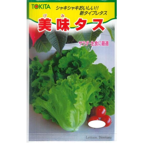 ●収穫物は、半結球ハクサイの様な形状になるニュータイプのレタスです。●収穫物の上部はリーフレタス、下部は結球レタスのパリパリの食感を持ち苦味少なく食味に優れます。 　●葉は濃い緑色、生育はゆっくりで、収穫期間は極めて長く重さ300〜500g...