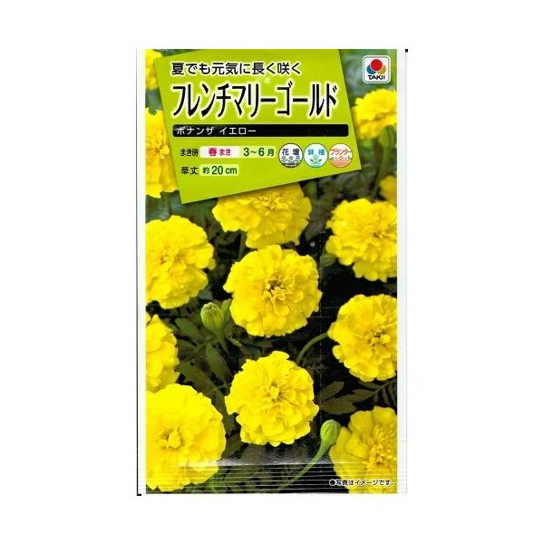 花種子 フレンチマリーゴールド「ボナンザ イエロー」 1ml（タキイ種苗）【送料込み】 紅黄草 コウオウソウ 孔雀草 クジャクソウ 万寿菊 マンジュギク FKJ252