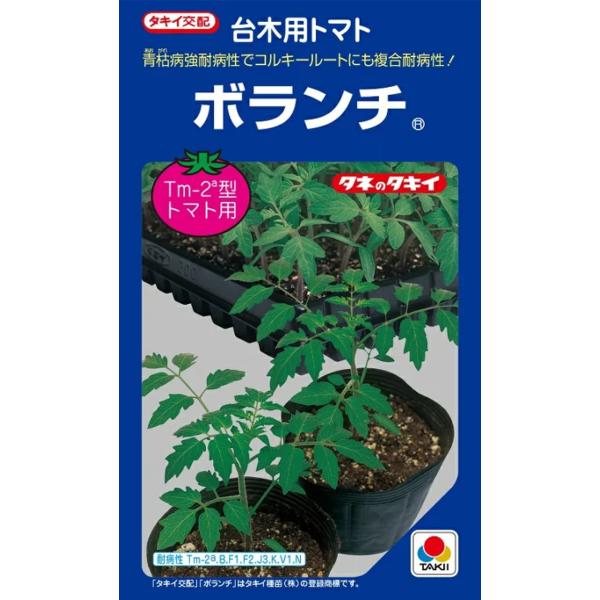 ●青枯病（B）に強耐病性でコルキールート（褐色根腐病：K）にも耐病性のF1台木。●青枯病とコルキールートのほか、トマトモザイクウイルス（Tm-2a型）、萎凋病レース1（F1）およびレース2（F2）、根腐萎凋病（J3）、半身萎凋病（V）、サツ...