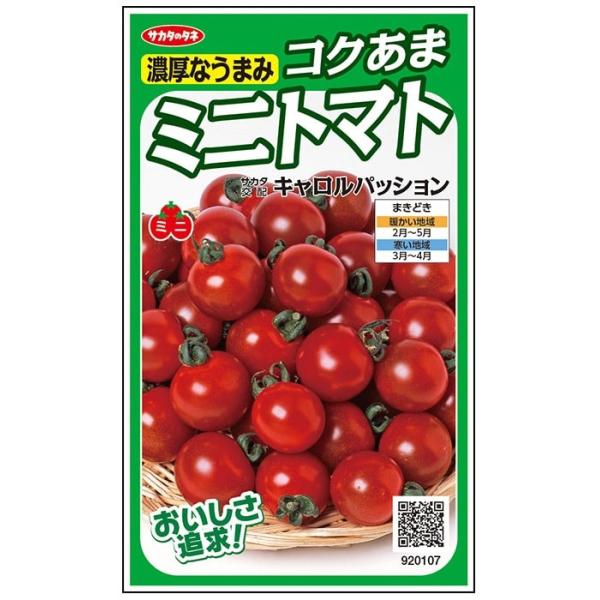 ●従来の丸玉系ミニトマトにはない、斑点病に特に強い品種です。●糖度が高く、酸味とのバランスもよく、食味に大変優れています。●萎凋病（F:R-1）、根腐萎凋病、ToMV（Tm-2型）、葉かび病、斑点病に抵抗性で、ネマトーダに耐虫性。●異常茎の...