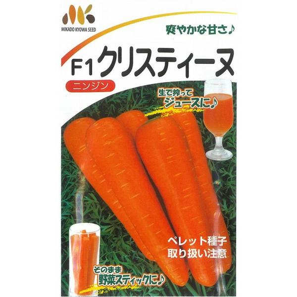 ●熟期110〜120日の周年栽培可能品種。●極晩抽性で、地上部の病害に強く黒葉枯病、斑点病、うどんこ病耐性に優れる。●草勢はややおとなしめで、耐寒性に優れる。●円筒形に近い形状で尻詰まりが良い。●根長18〜20cmで根色・肉色ともに濃鮮紅色...