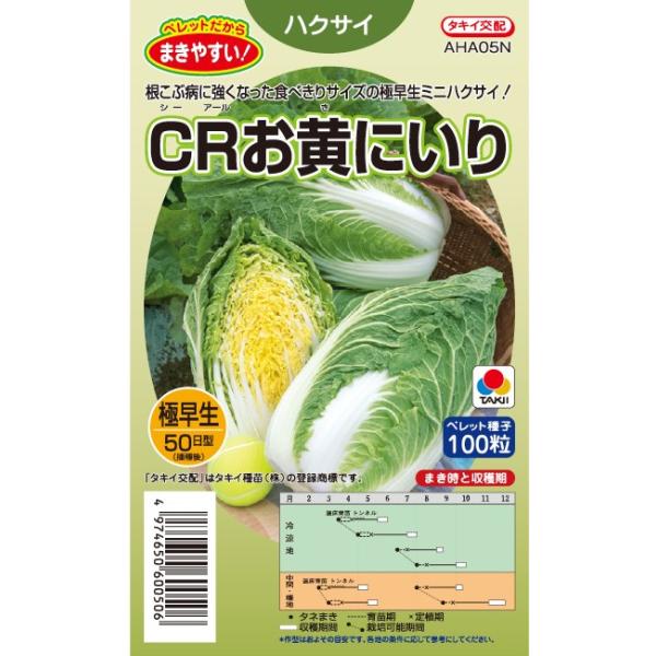 ●球重600g〜1kg程度のミニサイズが収穫できる。●直播栽培では播種後50日、移植栽培では定植後40日程度で収穫できる黄芯極早生種。●べと病、根こぶ病に強く、栽培が容易。●外葉はコンパクトで極立性となり、玉ぞろいがよい。●肉質は歯切れがよ...