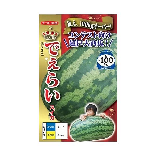 ●最大果重は100kgを超えることもある超巨大西瓜。●コンテストや秋の収穫祭などの展示用に最適。●肉質は繊維が強く食用には不向きです。