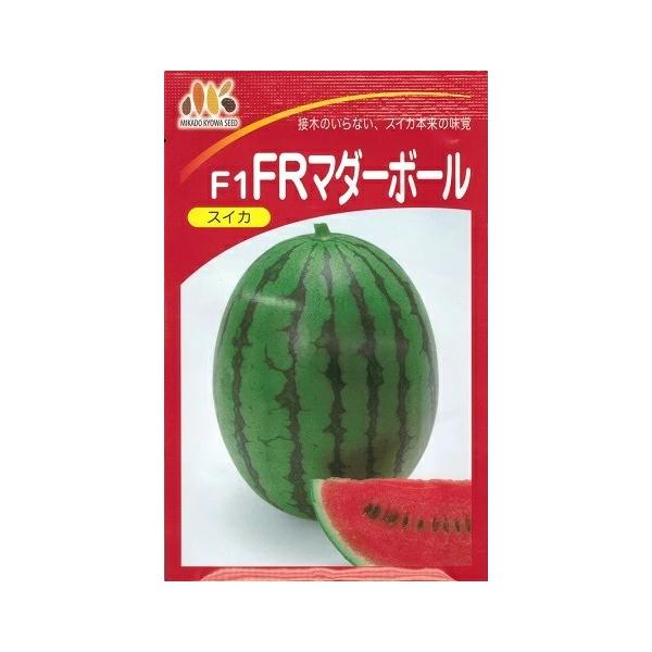 ●果長20cm、果重2.0〜2.5kg内外のラグビーボール型小玉品種。●つる割病レース0に対して耐病性強であり接木不要。●自根で育てた果実は食感や芳香などスイカ本来の味覚が味わえる。＜栽培のポイント＞●接木と順化作業が不要なので育苗期間は従...