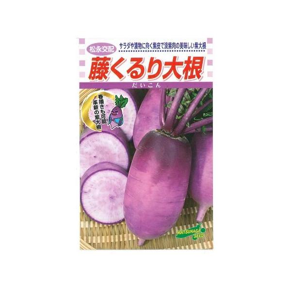 ●晩抽性があり春まきも可能な、播種期の幅が広い紫ダイコンです。●根は中太りで丸みのあるふくよかな形状で、鮮やかな紫の外皮と、内部も全面にほんのりと紫色に着色します。●肉質はシャキシャキと歯切れよく、甘みも強いためサラダ等の生食から、漬物や焼...