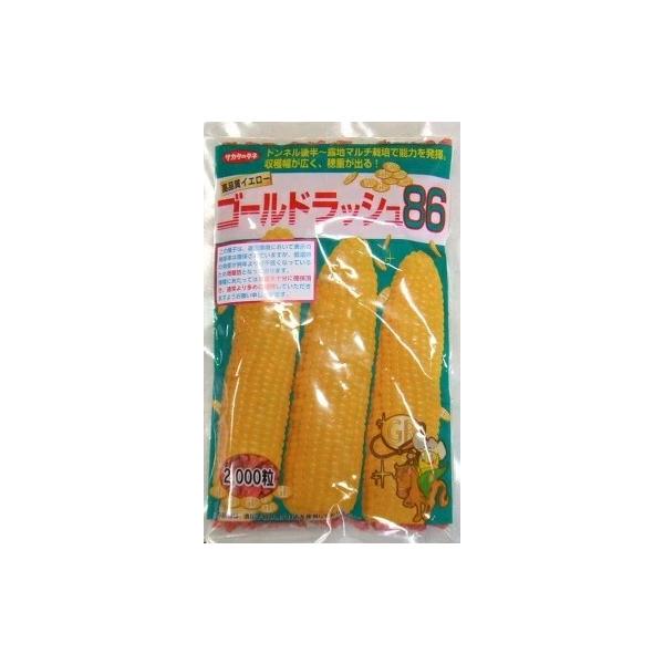 ゴールドラッシュ 種子 17200粒(200粒×86袋) ゴールドラッシュ 種子 17200粒(200粒×86袋) 野菜種子 スイートコーン