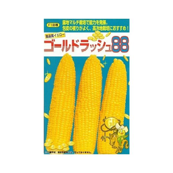●一般地マルチ栽培で「ゴールドラッシュ」より5日程度遅い88日の中生イエロー品種。●甘みが特に強く、粒皮もやわらかで食味がよい。●また、高温期でも「ゴールドラッシュ」よりしなびにくく収穫適期幅が広い。●雌穂は長形で「ゴールドラッシュ」より大...