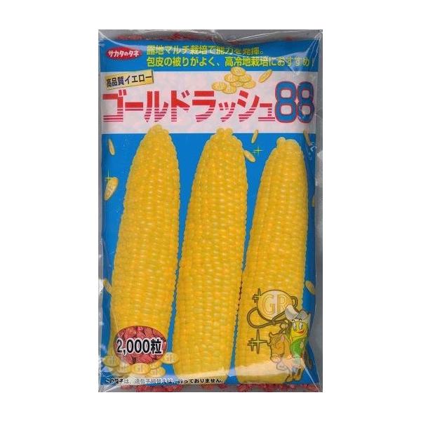 ●一般地マルチ栽培で「ゴールドラッシュ」より5日程度遅い88日の中生イエロー品種。●甘みが特に強く、粒皮もやわらかで食味がよい。●また、高温期でも「ゴールドラッシュ」よりしなびにくく収穫適期幅が広い。●雌穂は長形で「ゴールドラッシュ」より大...