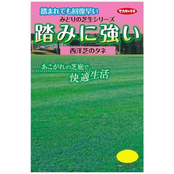 ●エンドファイトという、芝の植物体内に共生する菌の働きで耐虫性も強くなっていますので、 適切な管理によって緑の芝生を長く楽しむことが可能です。＜床土＞●深さ20cm前後を耕し、元肥として50〜100g／平方メートルの化成肥料を加え、出来るだ...