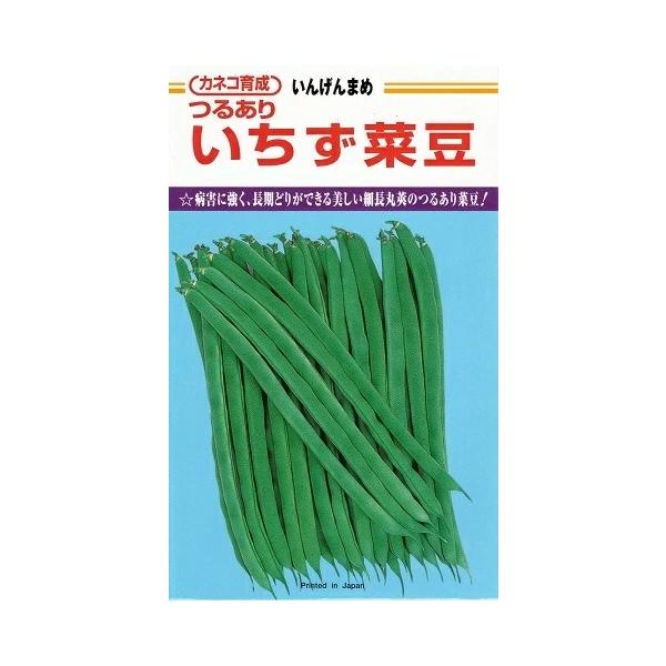 ●白種子白花で、節間が短く、病害に強いつるありインゲンです。●収穫はじめはケンタッキーワンダーより4〜5日早い中早生種です。●長期間、最後まで上物が安定して得られる多収品種です。●18〜20cm位の、鮮緑色の若干ふくらみをもった美しい丸長莢...