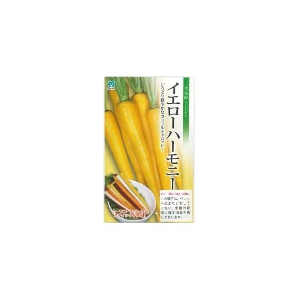●播種後120日前後で収獲する春・夏まき兼用の黄色人参です。●根長は20〜25cm、直径は太いところで3〜4cmとなります。●根色は鮮黄色で、内部まで美しい黄色となります。●草勢は強く、揃いに優れています。●いろどりを活かして、スティックサ...