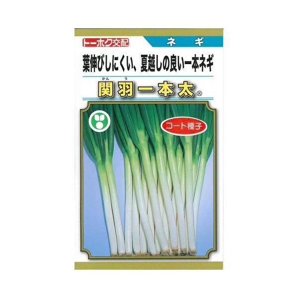 ●平坦地秋冬どり及び冷涼地秋どりに適する交配種です。●草姿は極立性、葉色は濃緑です。●草丈は中程度で葉伸びしにくいです。●また、葉質が硬く、葉折れが少ないです。●自身の太りはややゆっくりとした中生種です。●耐暑性強く、夏越しが強いです。●葉...