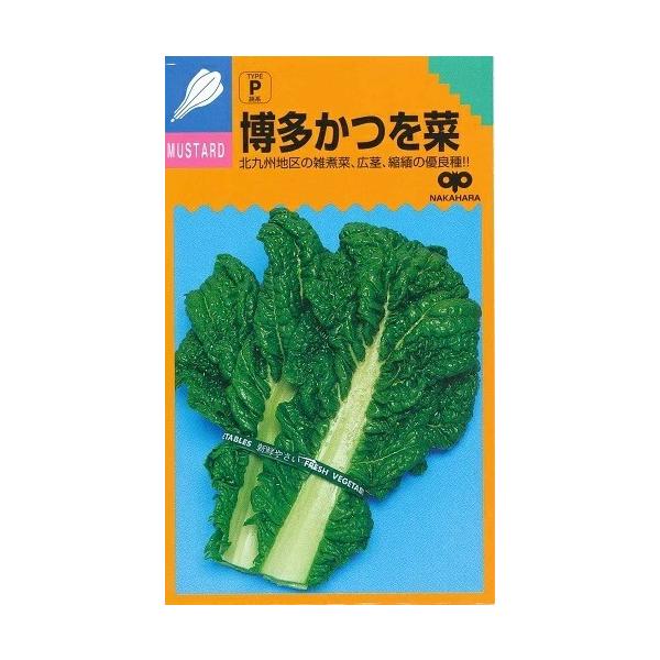 ●福岡市近郊に栽培の多い、かぎ葉用冬菜で濃緑色の葉面に縮みがあり、草姿は立性で高菜に似ている。●下葉より順次かぎとって市場へ出荷し、翌年4月に抽苔する頃地際より刈取る。●北九州地区の雑煮菜として有名である。